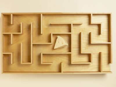 Cheese in the middle of a wooden maze