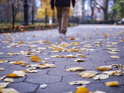 Low Section Rear View Of Man Walking On Footpath By Fallen Autumn Leaves