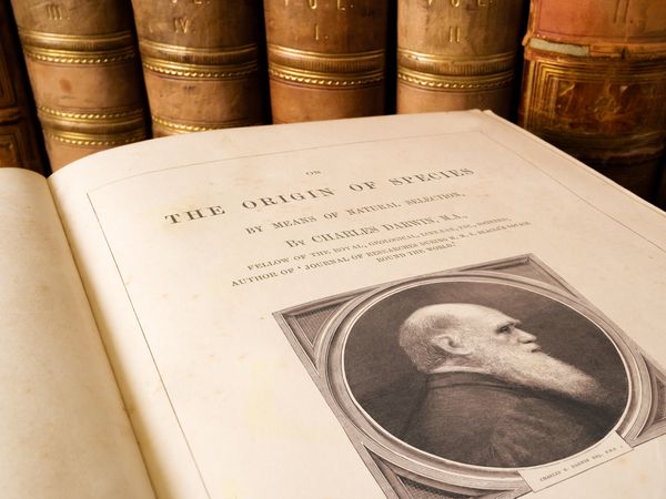 Antique copy of On the Origin of Species by Charles Darwin, first published in 1859 it is considered to be the foundation of evolutionary biology