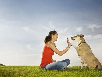woman giving a high five to a dog