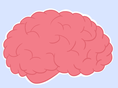 an image of a human brain